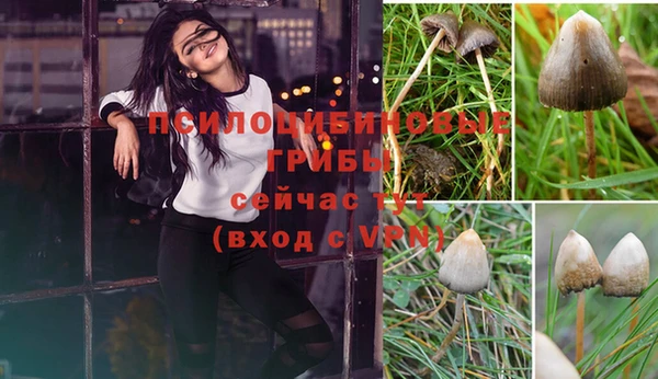 марки nbome Верея