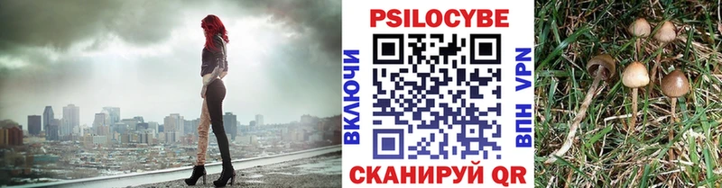 блэк спрут зеркало  Славянск-на-Кубани  Псилоцибиновые грибы Magic Shrooms 