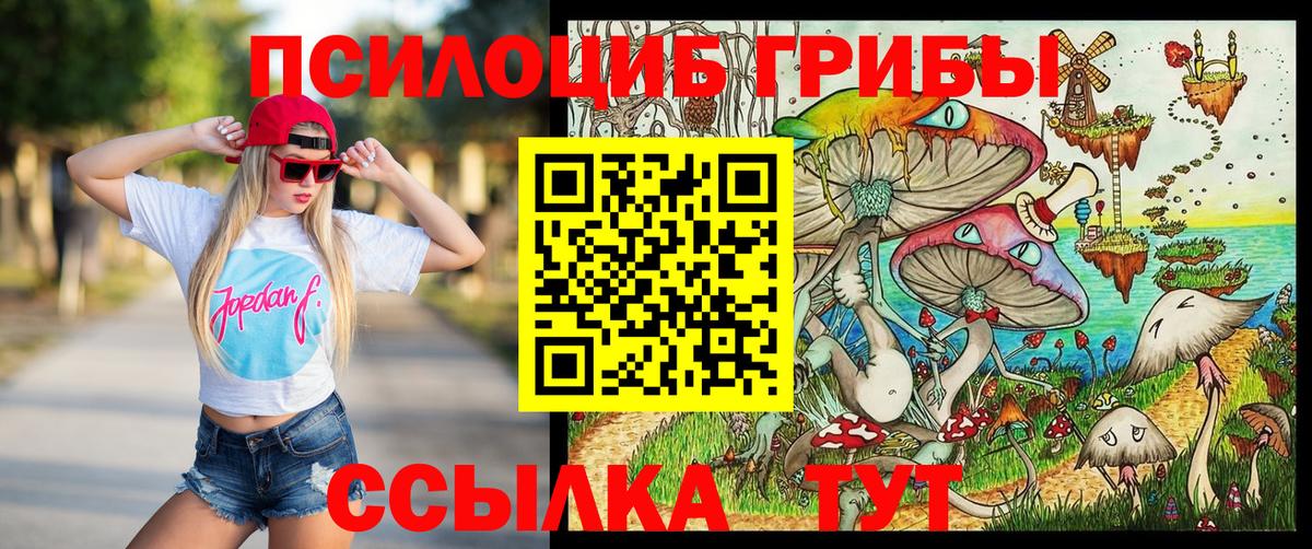 Псилоцибиновые грибы мухоморы Славянск-на-Кубани