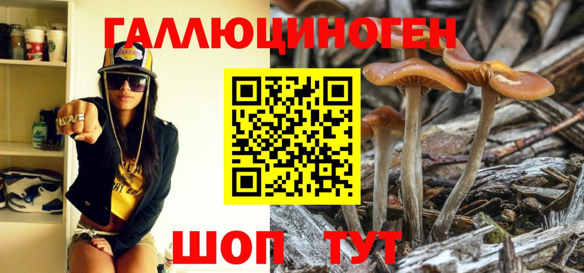 Псилоцибиновые грибы Cubensis  цена   Славянск-на-Кубани  Вход с VPN  Псилоцибиновые грибы мухоморы 
